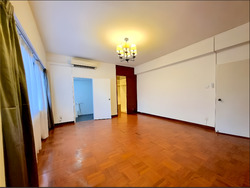 The Cairnhill (D9), Condominium #580010491